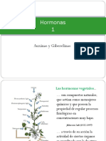 6. 2014 Hormonas 1-Aux GAs