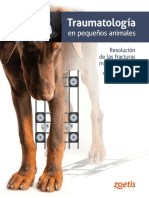 Traumatologia en Pequeños Animales-Resolucion de Fracturas