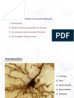 Aim of This Class 2. A First Order Approximation of Neuronal Biophysics