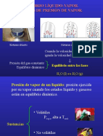 Equilibrio y Presion de Vapor