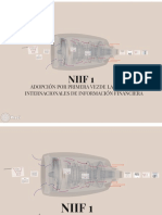 Niif 1