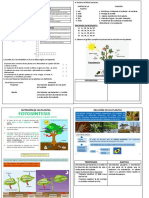 Naturaless Tema 3