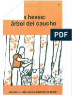 25_La hevea árbol del caucho.pdf