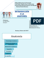 Diapositivas Introduccion A La Anatomía Roberto