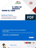 PPT ENFOQUE CIENCIA Y AMBIENTE.pdf
