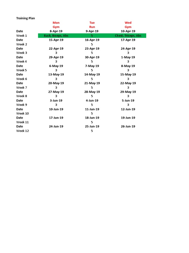 12-Week Fitness Training Plan | PDF