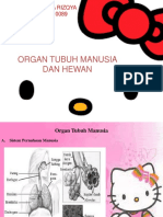 Organ Tubuh Manusia Dan Hewan