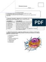 Prueba de Octavo