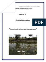 Lopwzquiroz Walter M20S1 Contaminacionquimicadelagua