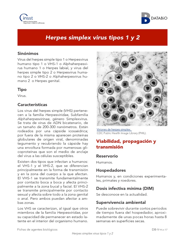 Herpes Simplex Virus Tipos 1 y 2 2018 | Herpes Simple | Virus
