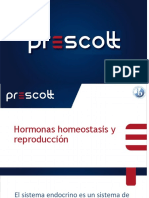 6.6 Hormonas Homeostasis y Reproducción