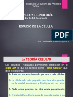 Célula estudio