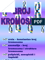 3broj Kromosoma