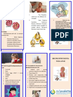 leaflet bronkopneumonia topaz 1 (2).doc