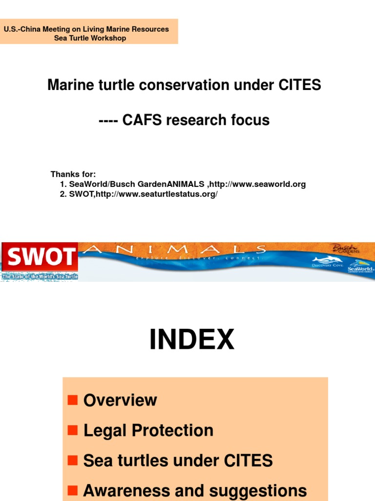 Marine Turtle Conservation Under CITES - CAFS Research Focus | PDF ...