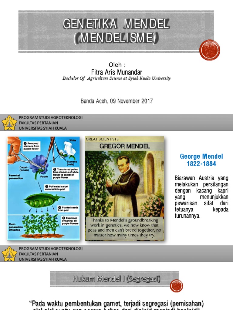 Penelitian Mendel