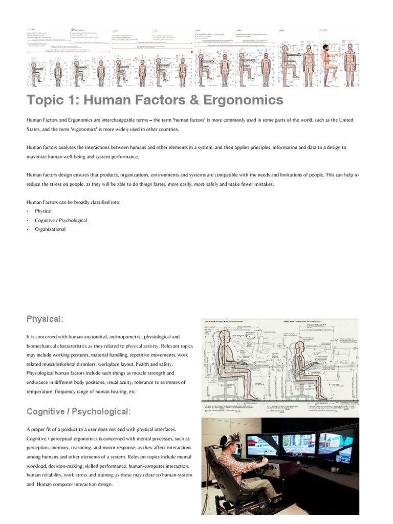 Anthropometric in Human Ergonomic PDF Human Factors And Ergonomics