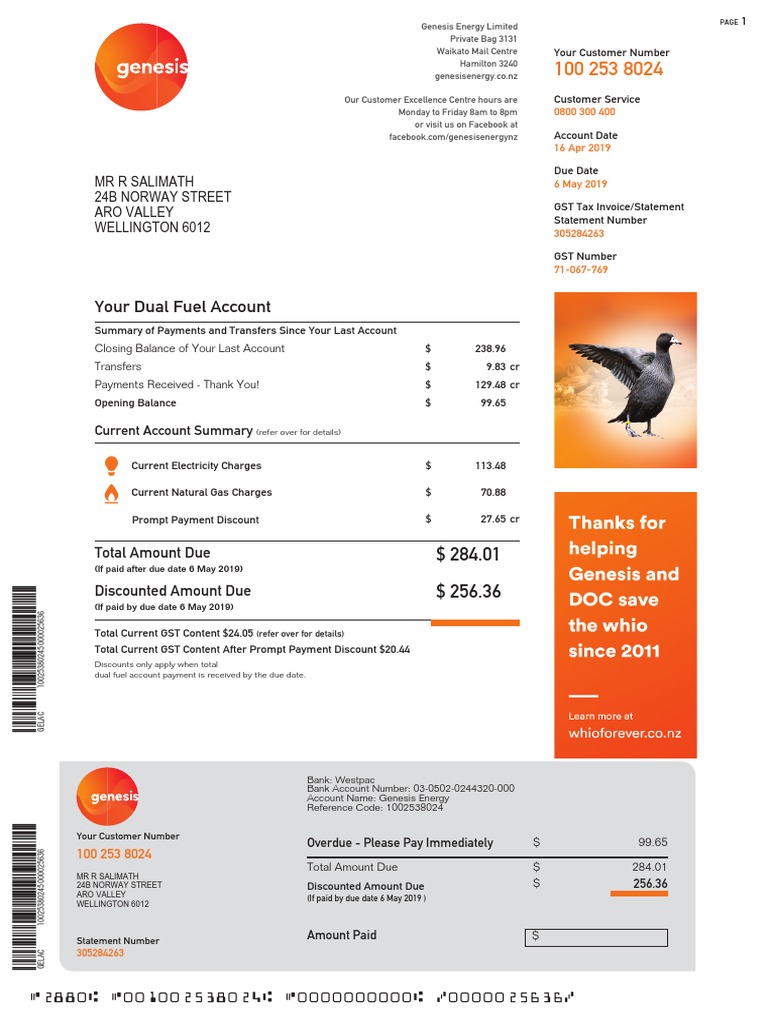 Your Dual Fuel Account MR R Salimath 24B Norway Street Aro Valley