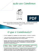 palestra_cambonos.pdf