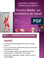 Anatomia