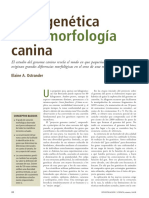 base generica de la moefologia canina.pdf