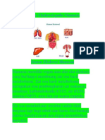 Sistem Ekskresi Pada Manusia