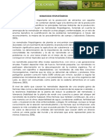 NEMATODOS.pdf