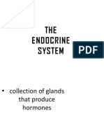 Endocrine System Part 1