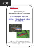Download Budidaya Ikan Hias Pemeliharan Induk Ikan Tetra by arachmat92 SN41227009 doc pdf
