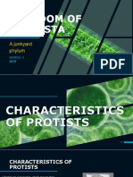 Kingdom of Protista: A Junkyard Phylum