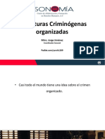 1. Estructuras Criminógenas Organizadas