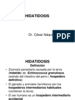 Urp - Hidatidosis - Cisticercosis