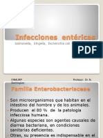 T10 Enterobacterias