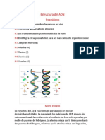 Estructura Del ADN y Sintesis de Proteinas