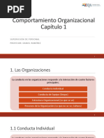 Capi Tulo 1 - Comportamiento Organizacional