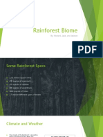 Rainforest Powerpoint