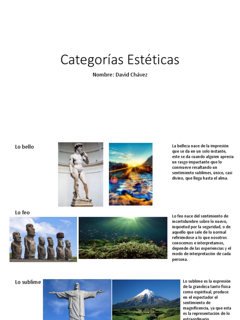Manuscrito Señora leyendo Categorías Estéticas | PDF | Epistemología | Science