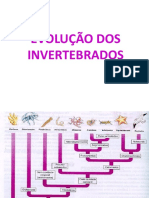 biossungui e evolução.pdf