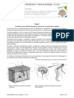 Vter9 Teste4 16 17