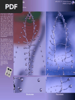 Viscoelastic Fishbones