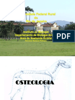 OSTEOLOGIA_BIOL