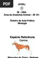 Roteiro de Aula Pratica Musc.toraX ABDOME BIOL