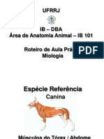 Roteiro de Aula Pratica Musc - Torax ABDOME BIOL