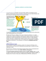 Ciencias Naturales Cambio Climatico