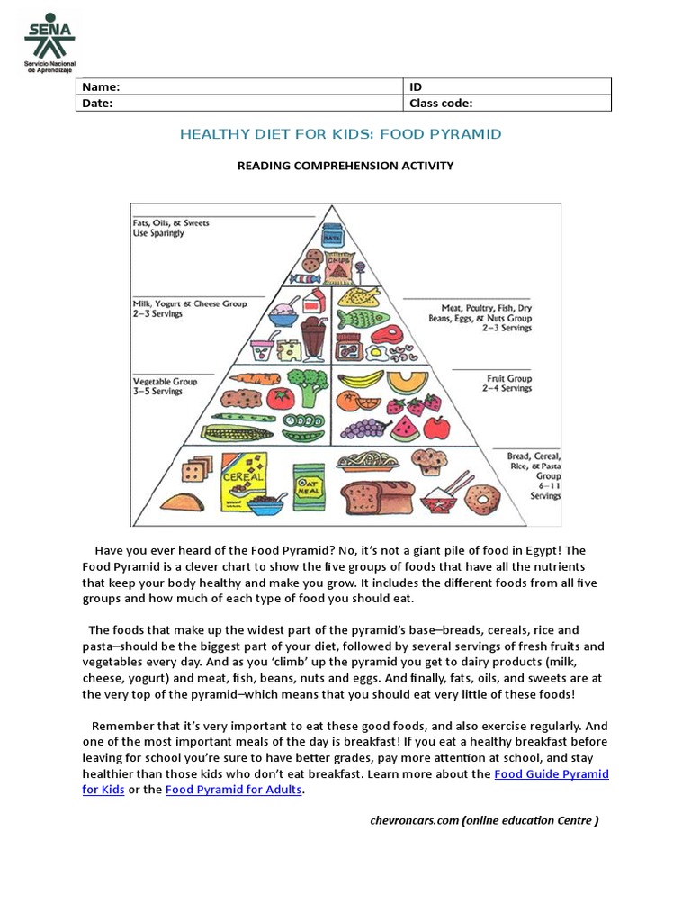 essay on food pyramid