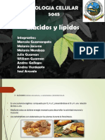 Glucidos y Lipidos