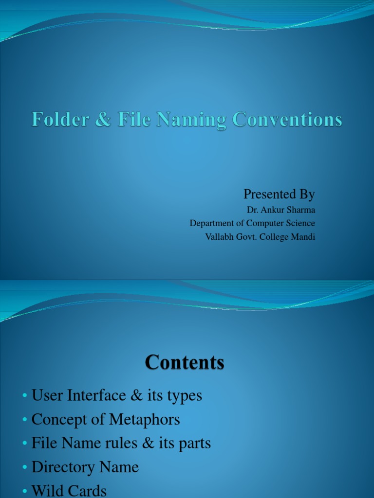 User Interface and File Naming Rules | PDF