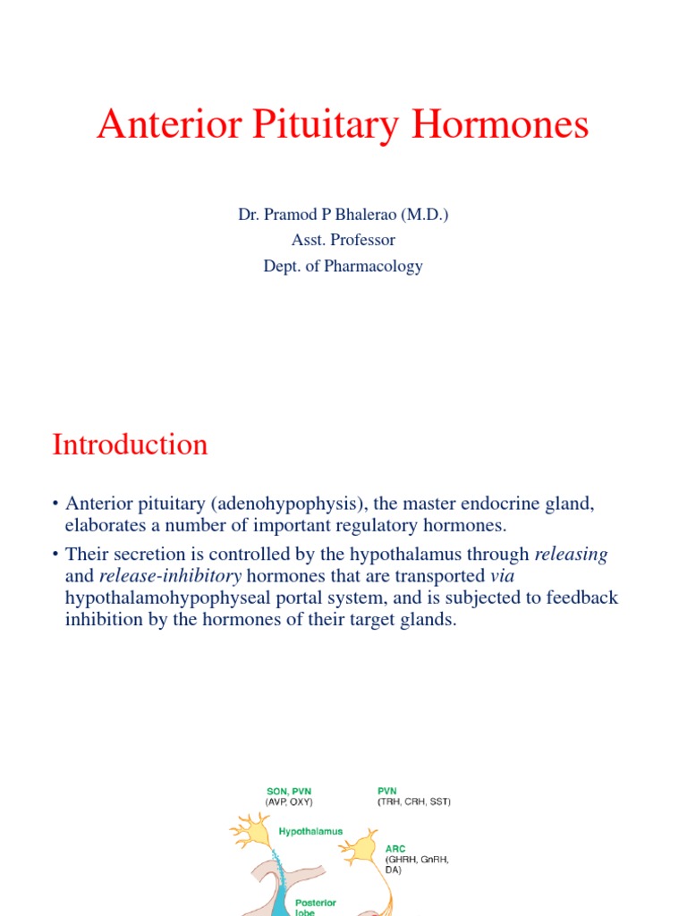 Anterior Pituitary Hormones Overview | PDF | Luteinizing Hormone ...
