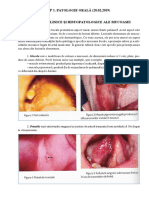 LP Patologie Orală
