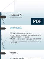 Hepatitis 140707055832 Phpapp01